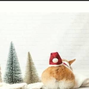 Meet your Posher, Roberto